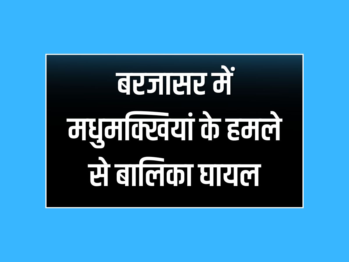 बरजासर में मधुमक्खियां के हमले से बालिका घायल