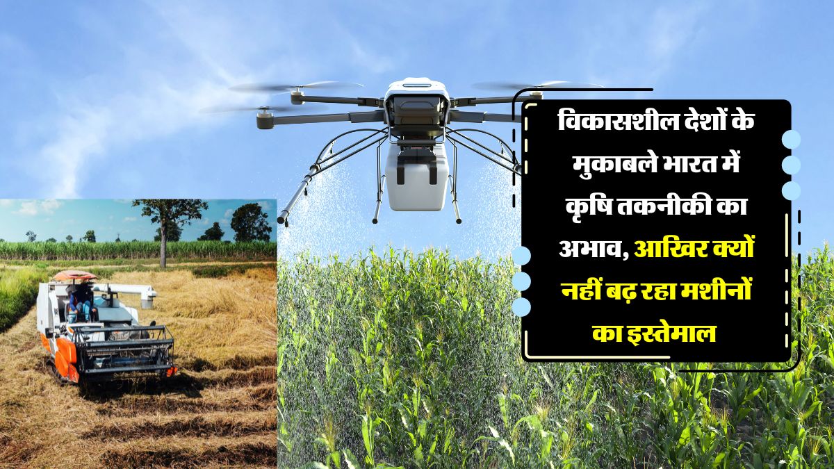 Indian farming sector