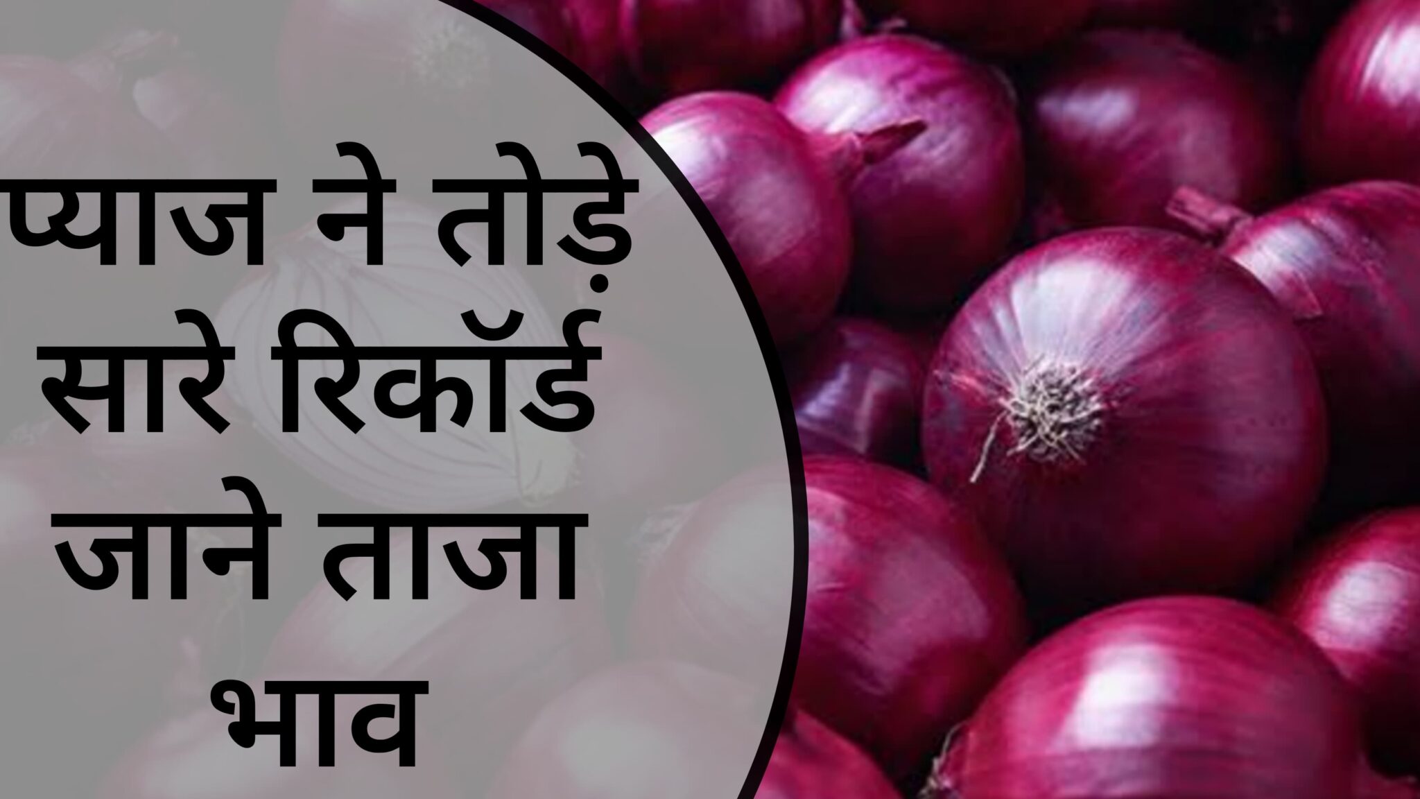 onion price today