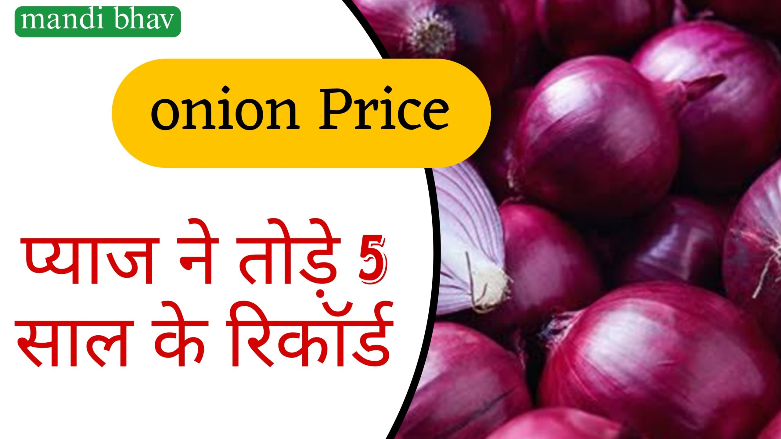 onion price