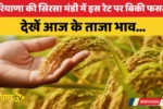Crops sold at this rate in Sirsa Mandi