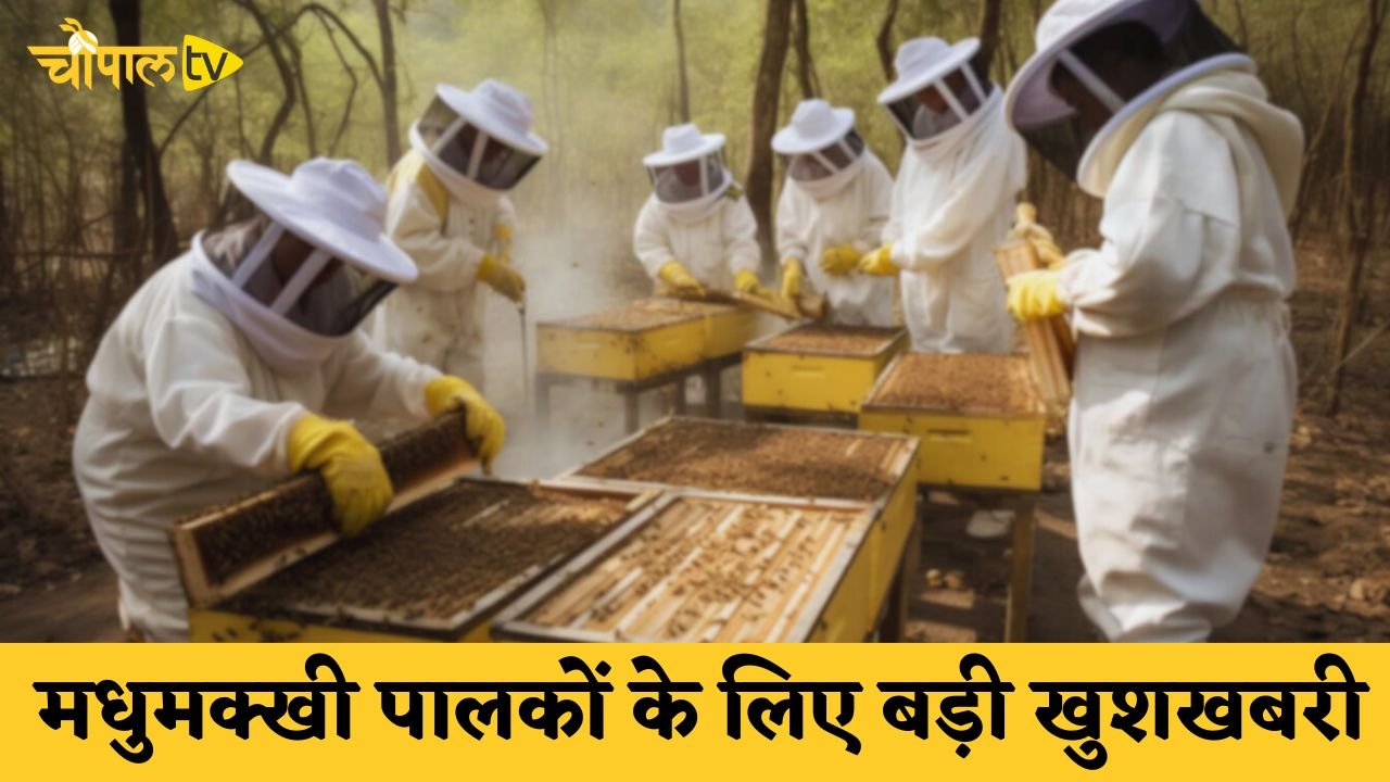 Great news for beekeepers