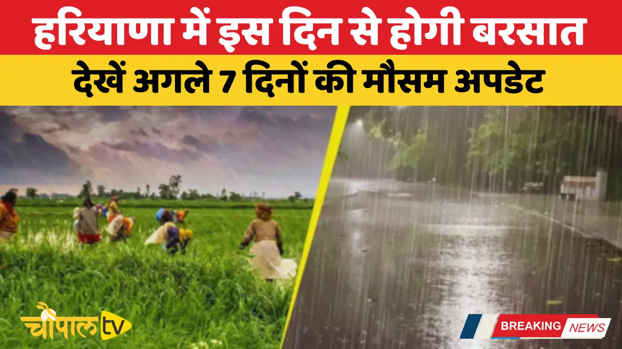 It will rain in Haryana from this day