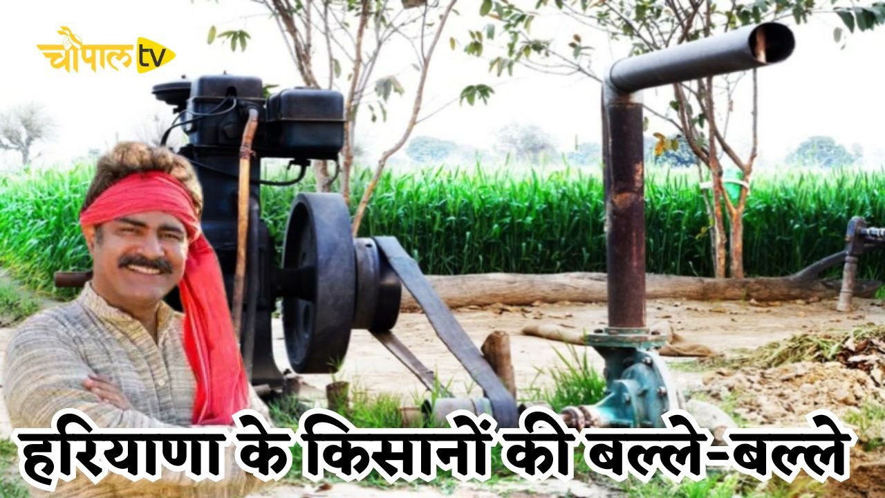 13,000 farmers in Haryana are in for a treat