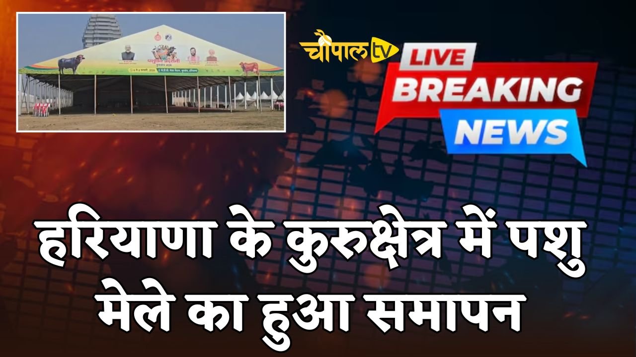 The animal fair in Kurukshetra, Haryana has concluded.