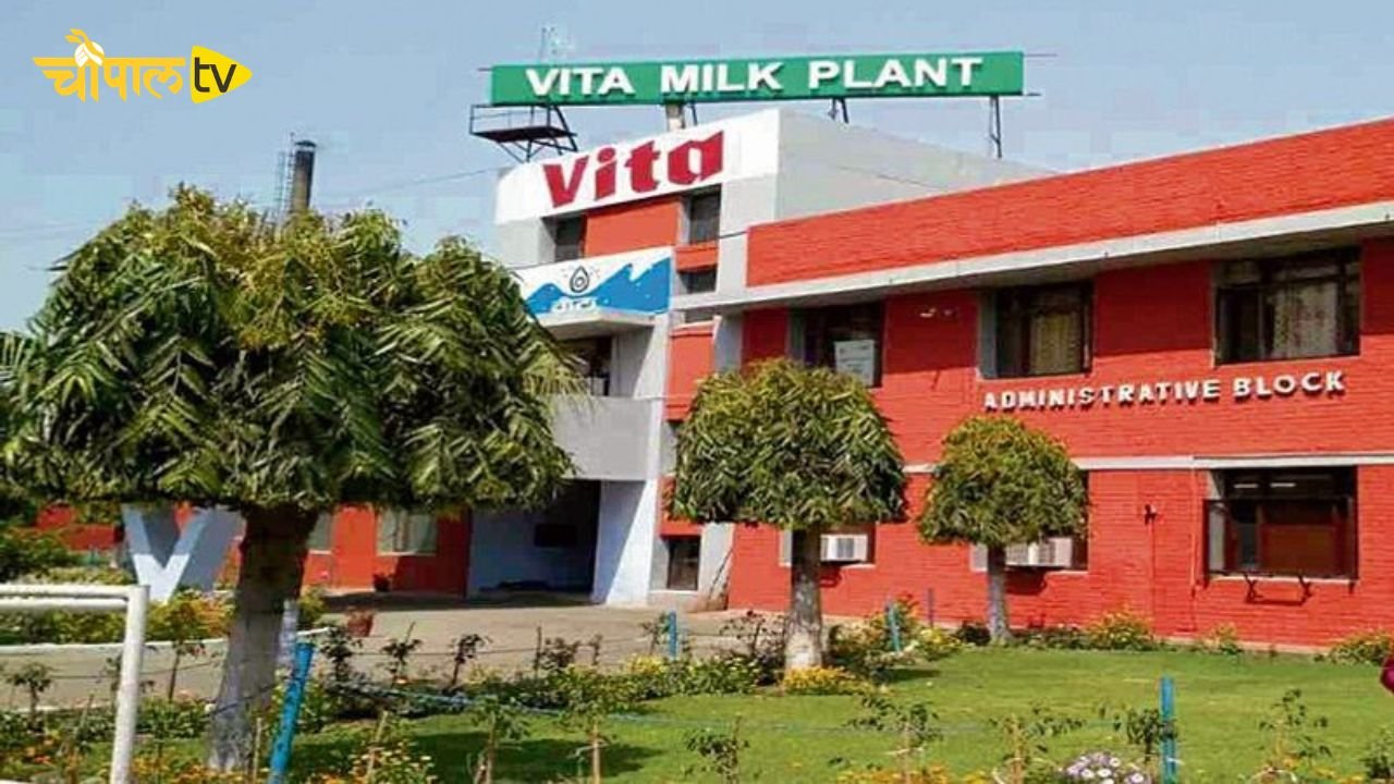A Vita milk plant will be built here in Haryana