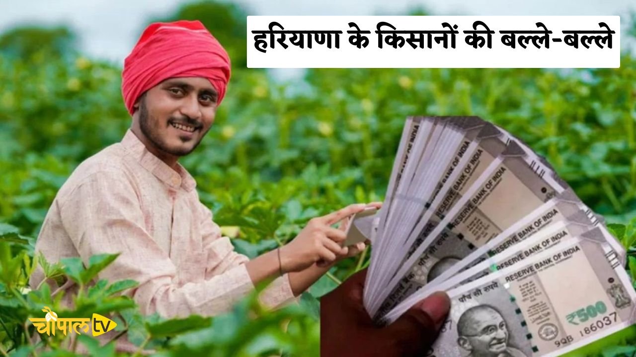 Farmers in Haryana are in luck