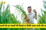 Kisan News: Big news for farmers