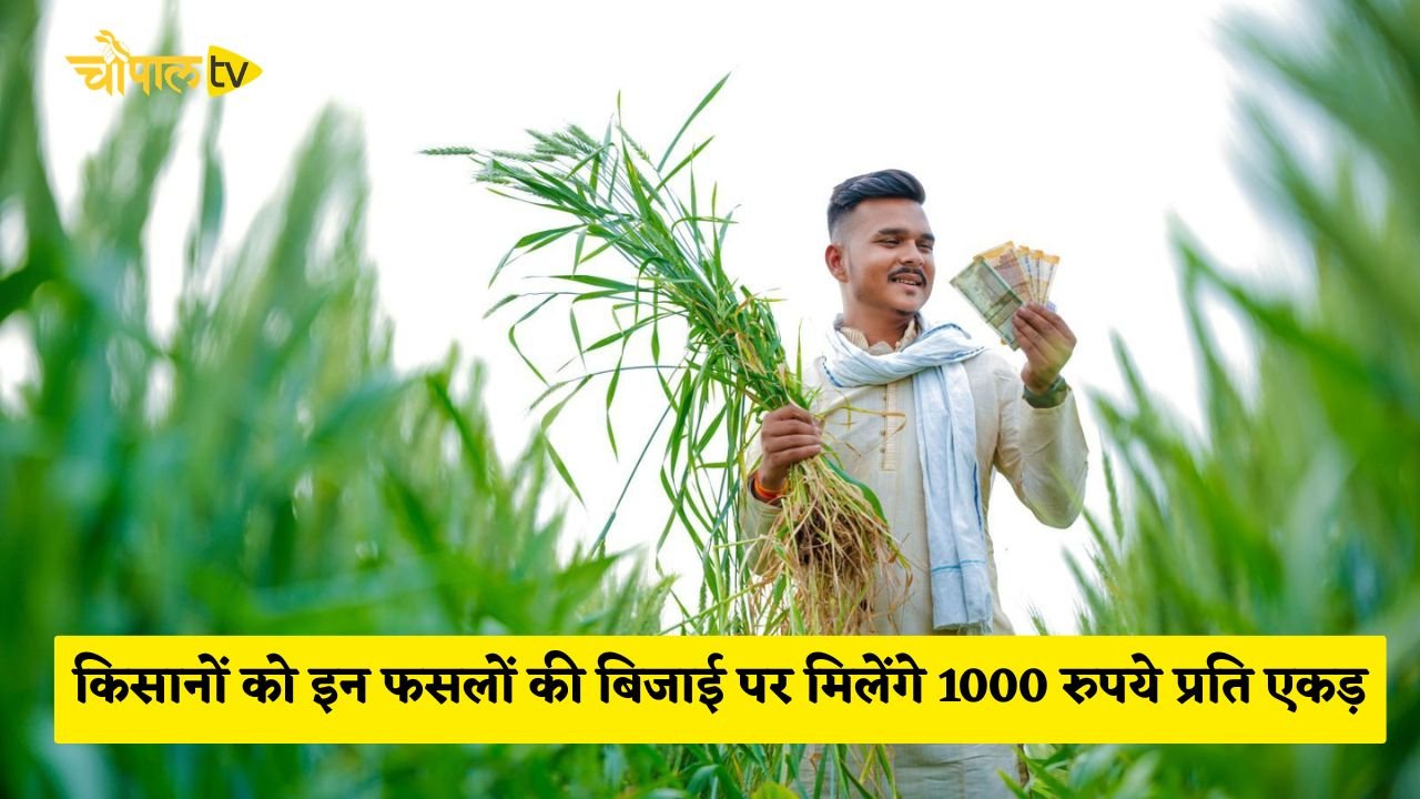 Kisan News: Big news for farmers