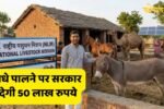 The government will give Rs 50 lakh for raising donkeys