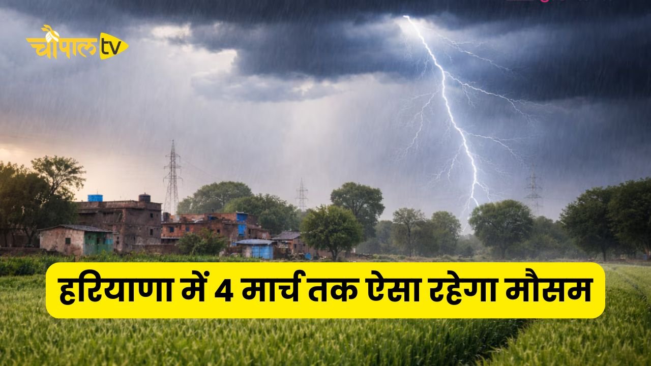 The weather in Haryana will remain like this till March 4