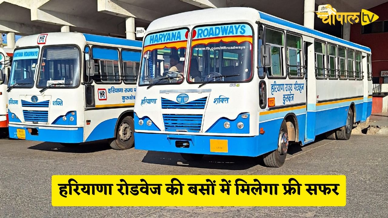 These people will get free travel in Haryana Roadways buses.