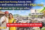 giving Rs 50 lakh for sheep and goat rearing in Haryana