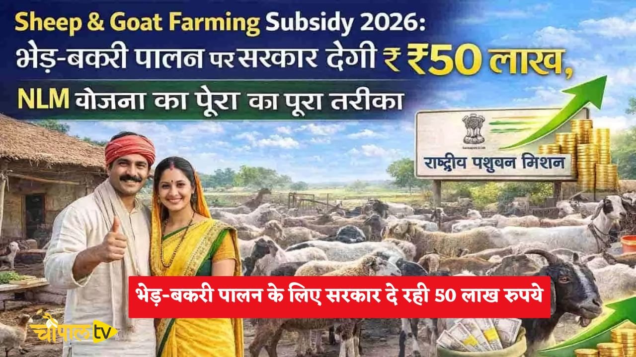 giving Rs 50 lakh for sheep and goat rearing in Haryana