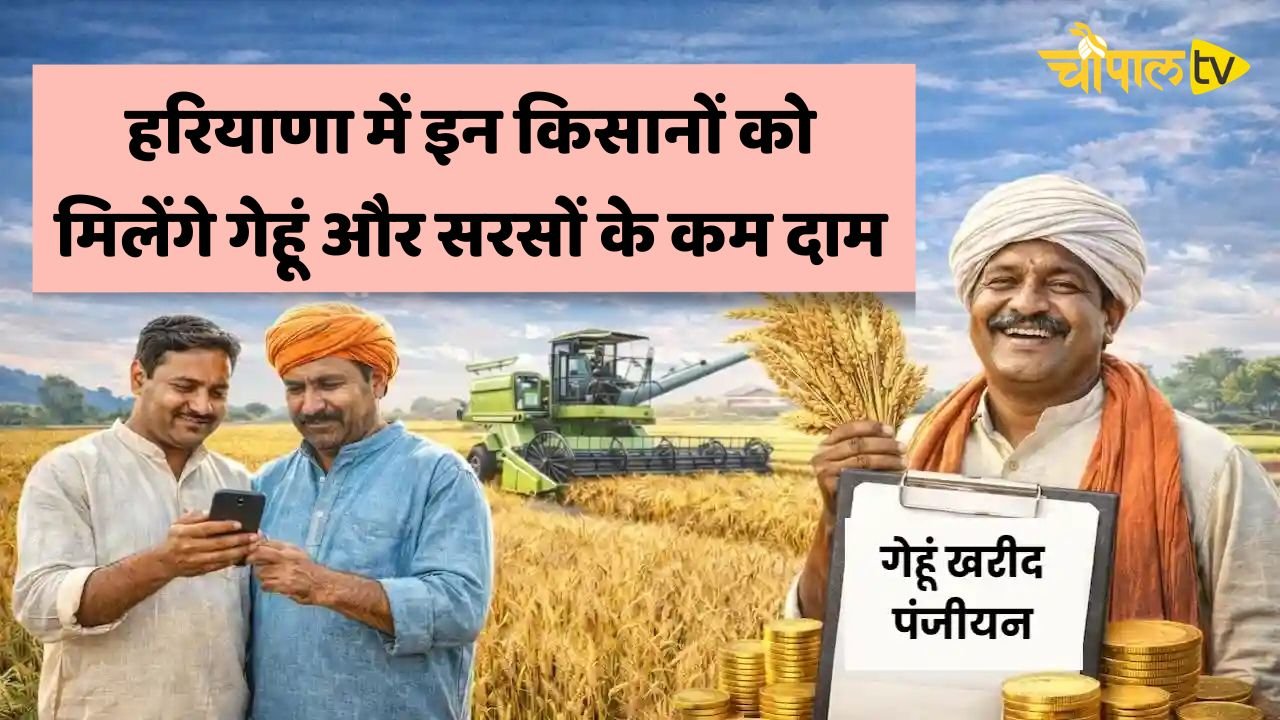 These farmers in Haryana will get lower prices for wheat and mustard