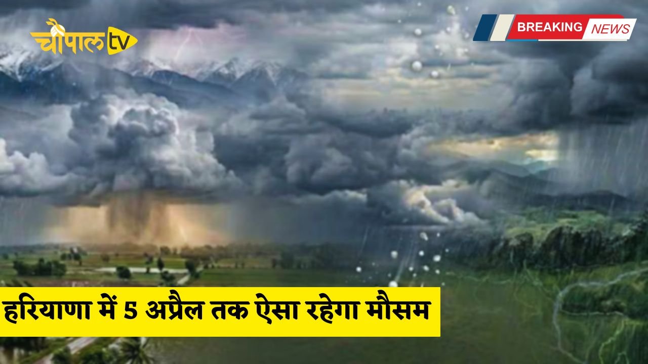 Heavy rains lash several districts of Haryana