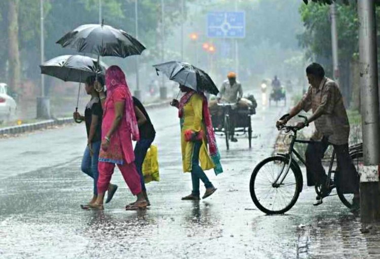 What will the weather be like in Haryana until August 30? Check the Meteorological Department's forecast.