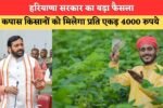 हरियाणा में कपास किसानों के लिए सरकार का बड़ा फैसला, 4000 रुपये प्रति एकड़ मिलेगा अनुदान